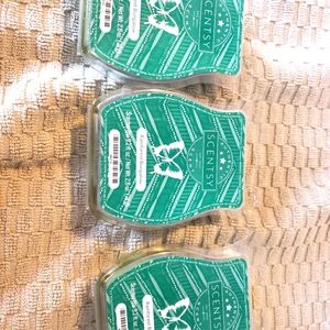 Scentsy Rainforest Bungalow bars